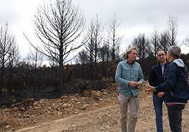 Carlos Martínez visitó zonas afectadas por el fuego en La Alberca.