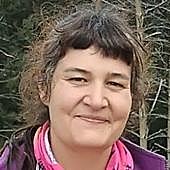 Imagen - «Aunque se vaya limpiando una parcela dentro de un pinar, si el resto no lo están no es efectivo»