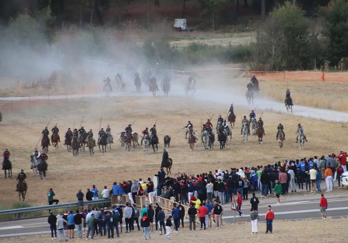 Fotos del segundo encierro de Cuéllar por el campo y el pinar