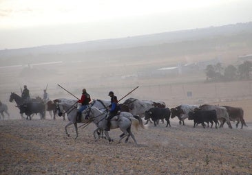 Convulso y peligroso encierro en Cuéllar con los toros de Partido de Resina