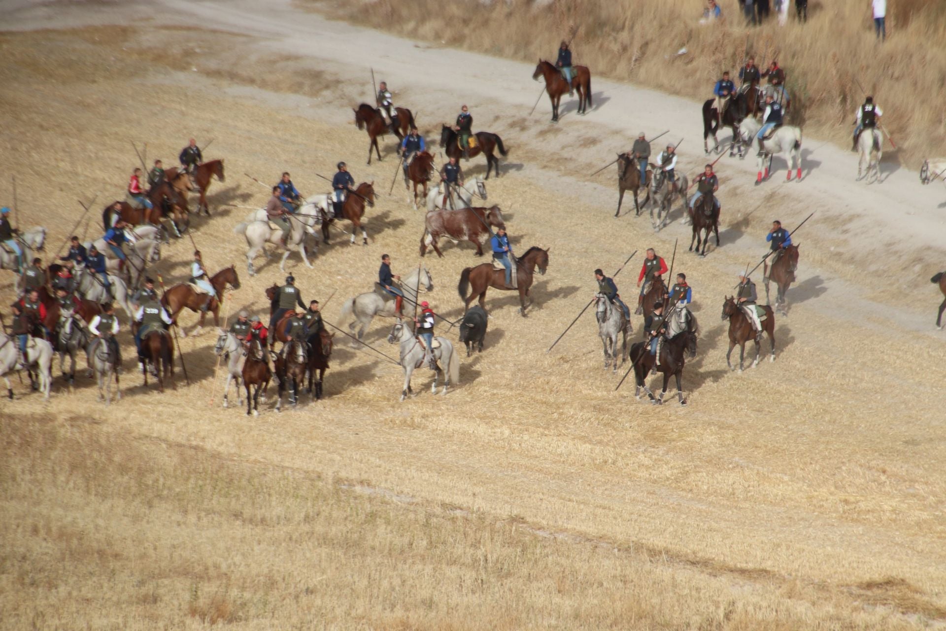 Segundo encierro de Cuéllar, con toros de Partido de Resina.