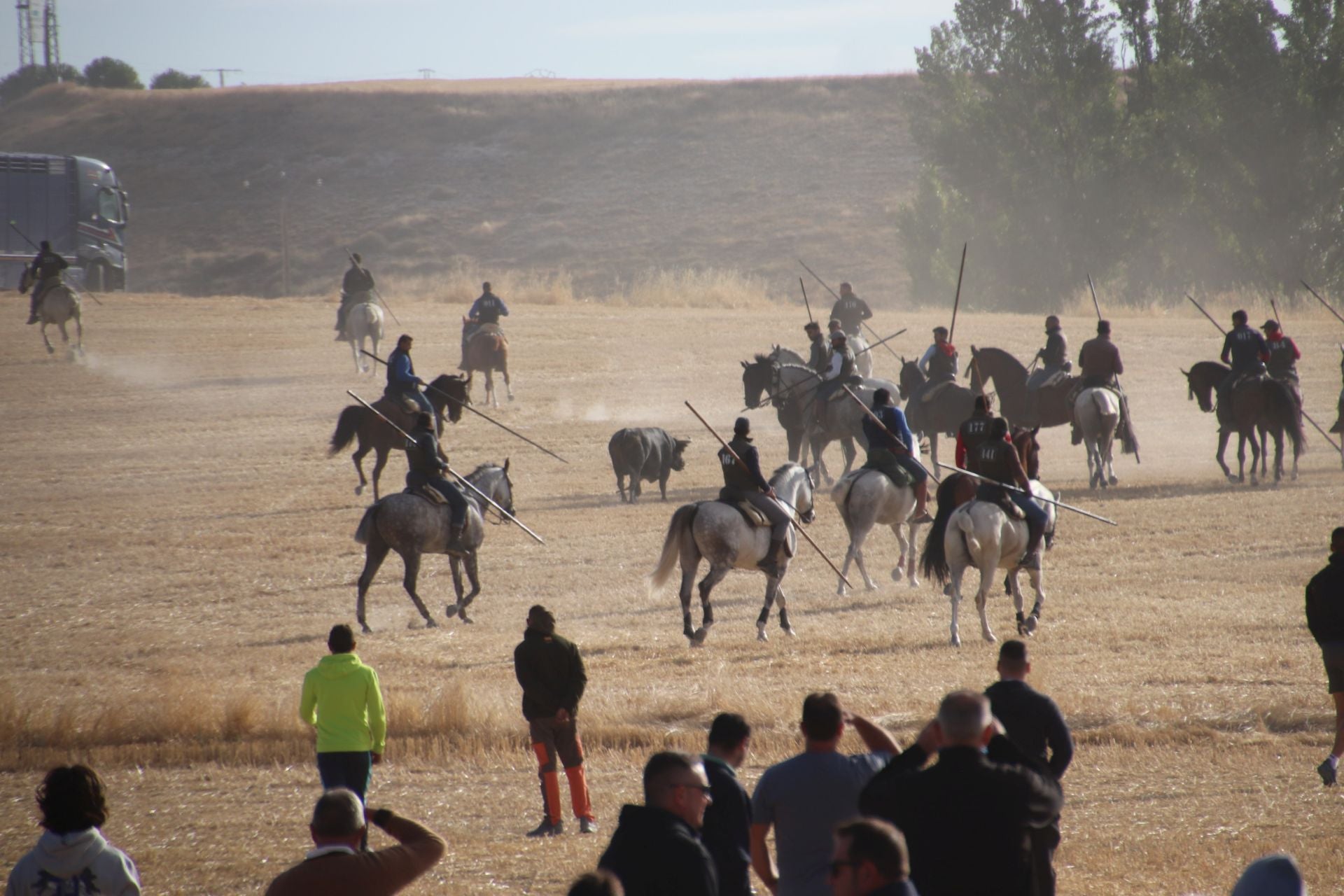Fotos del segundo encierro de Cuéllar por el campo y el pinar