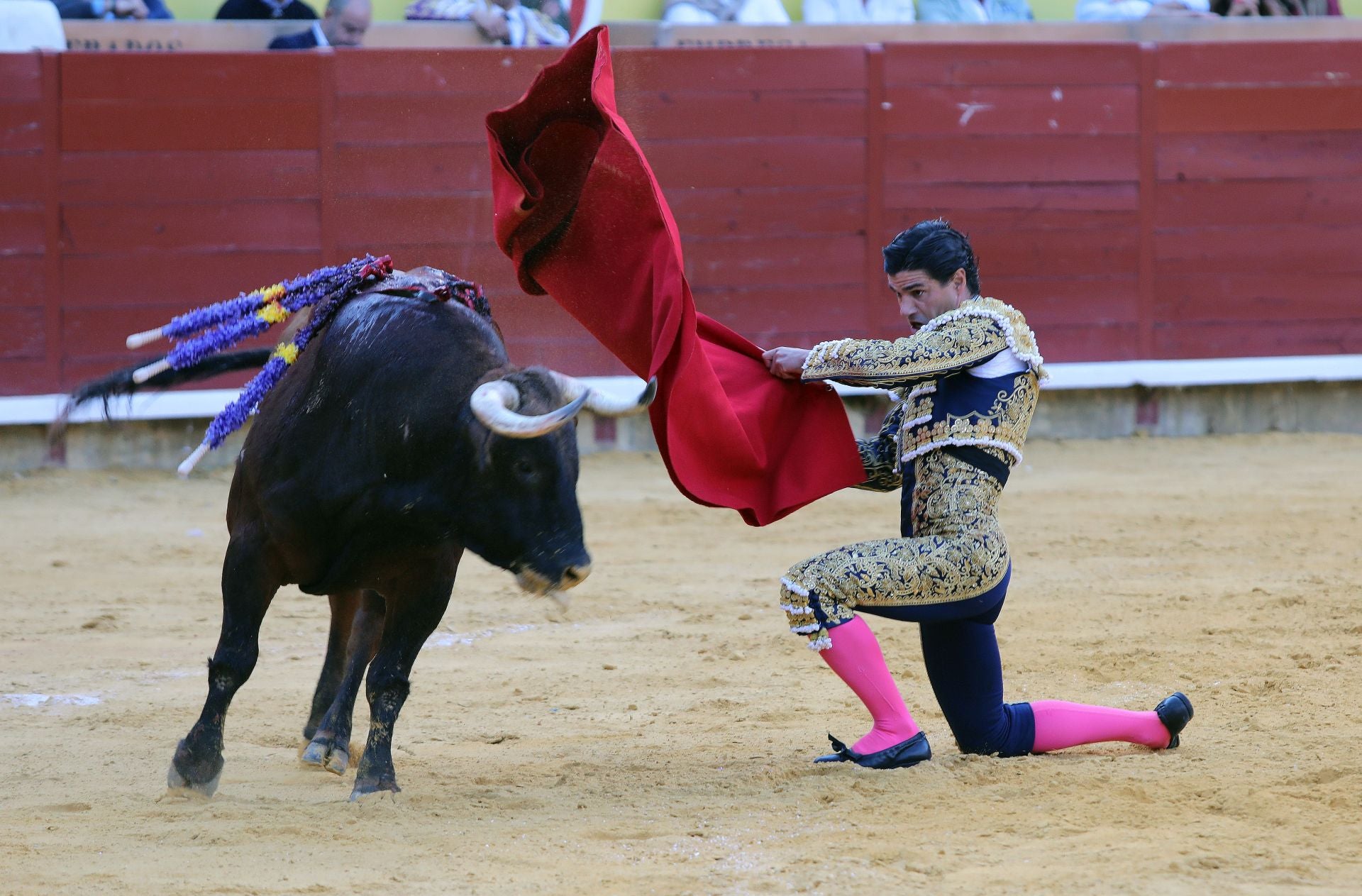 Así fue la corrida de Castella, Manzanares y Aguado en Palencia