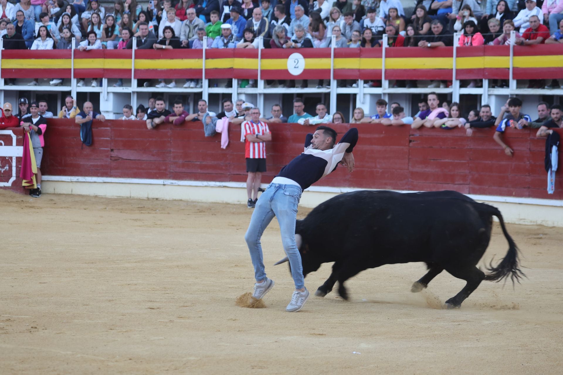 El encierro de Medina del Campo, en imágenes