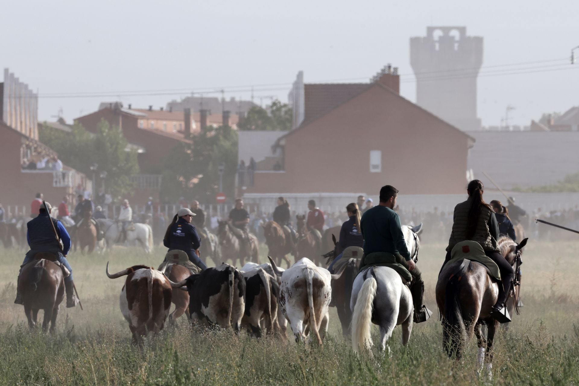 Las imágenes del encierro con seis toros de la ganadería Zahorí en Medina del Campo