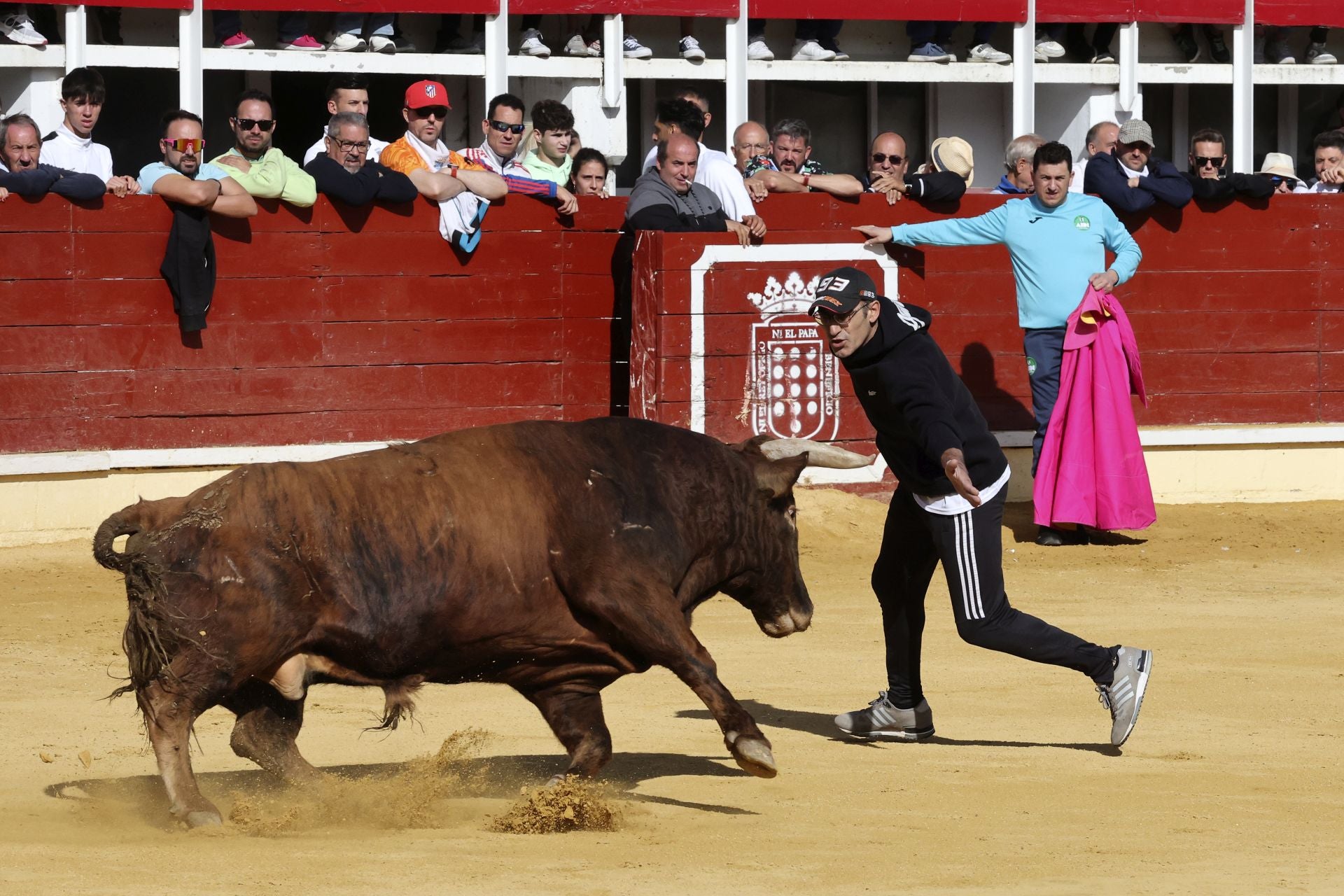 Las imágenes del encierro con seis toros de la ganadería Zahorí en Medina del Campo