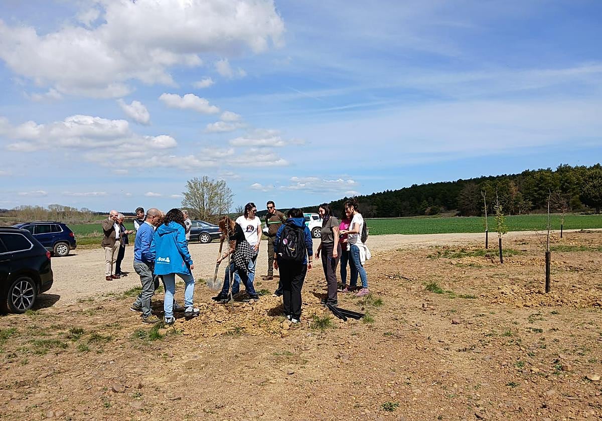 Plantación en el marco del proyecto Bosque modelo.