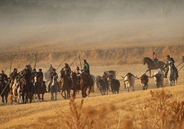 Las reses de Rosa Rodrigues, durante el tercer encierro en Cuéllar.