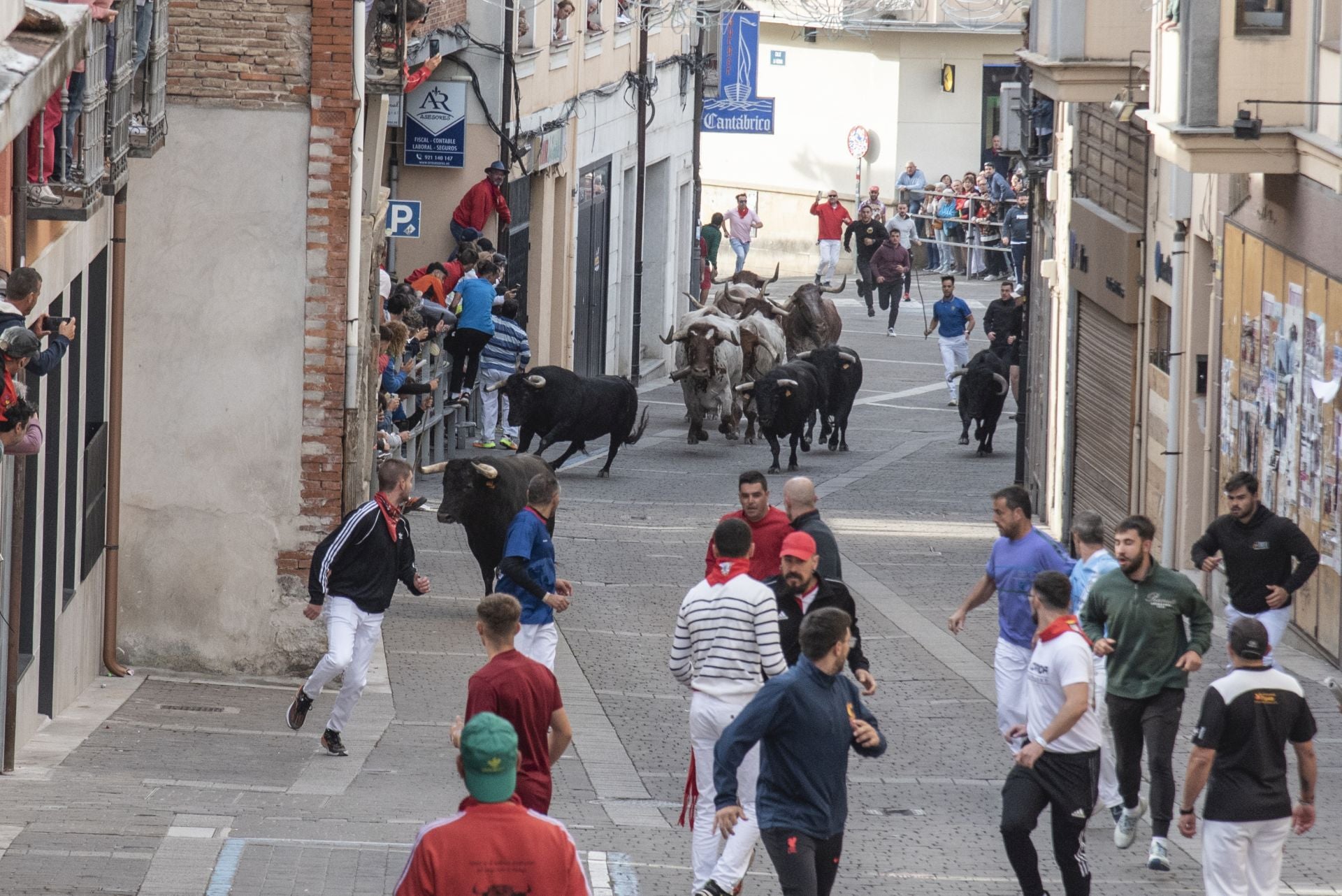 Fotos del tercer encierro de Cuéllar por las calles de la villa