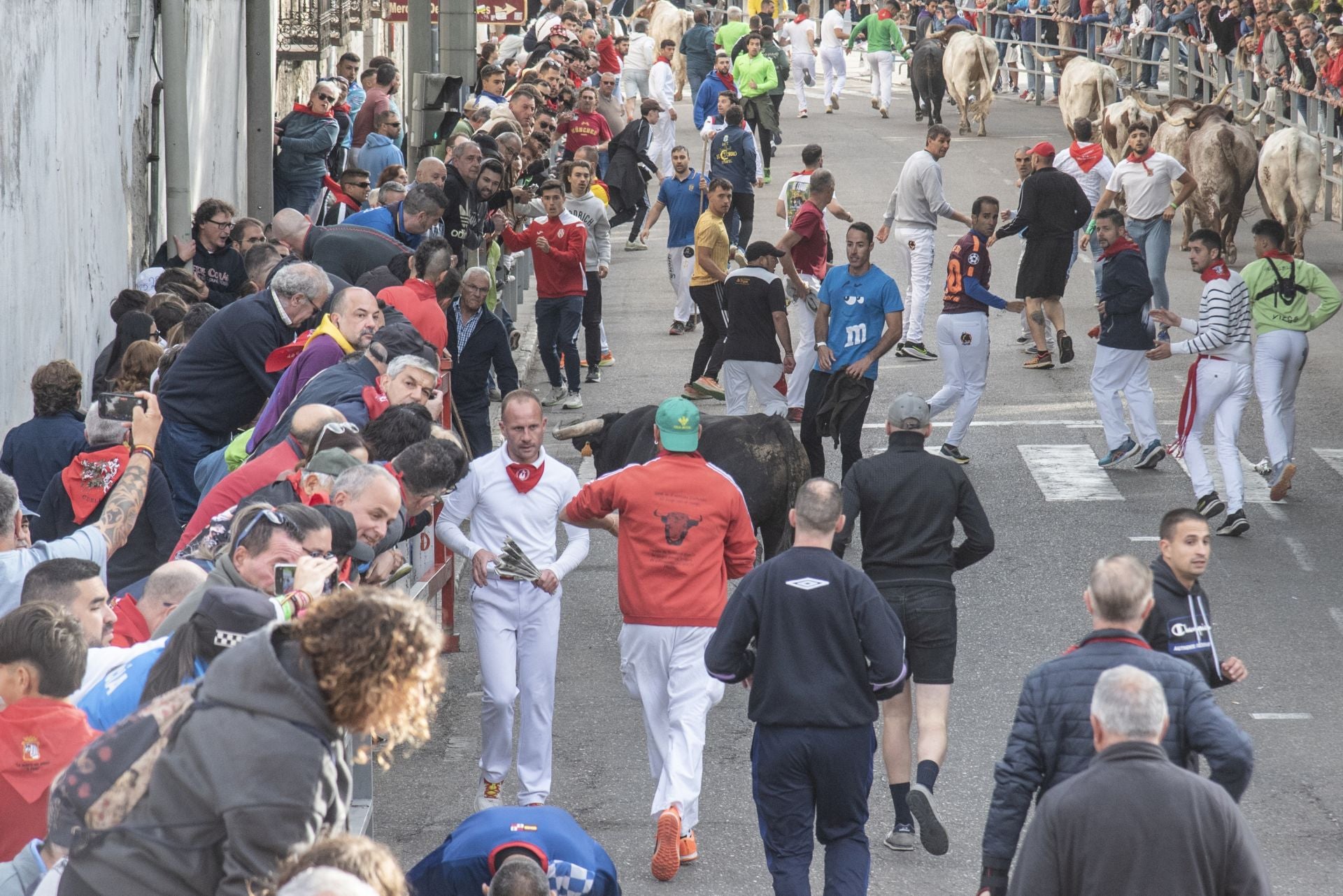 Fotos del tercer encierro de Cuéllar por las calles de la villa