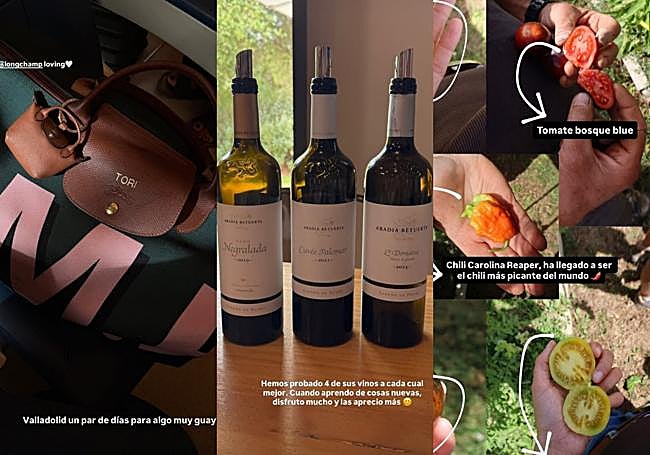 Capturas de las 'stories' de Victoria Federica en sus redes sociales.