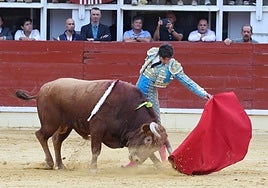 Imágenes de la corrida celebrada este miércoles en el coso de Medina del Campo