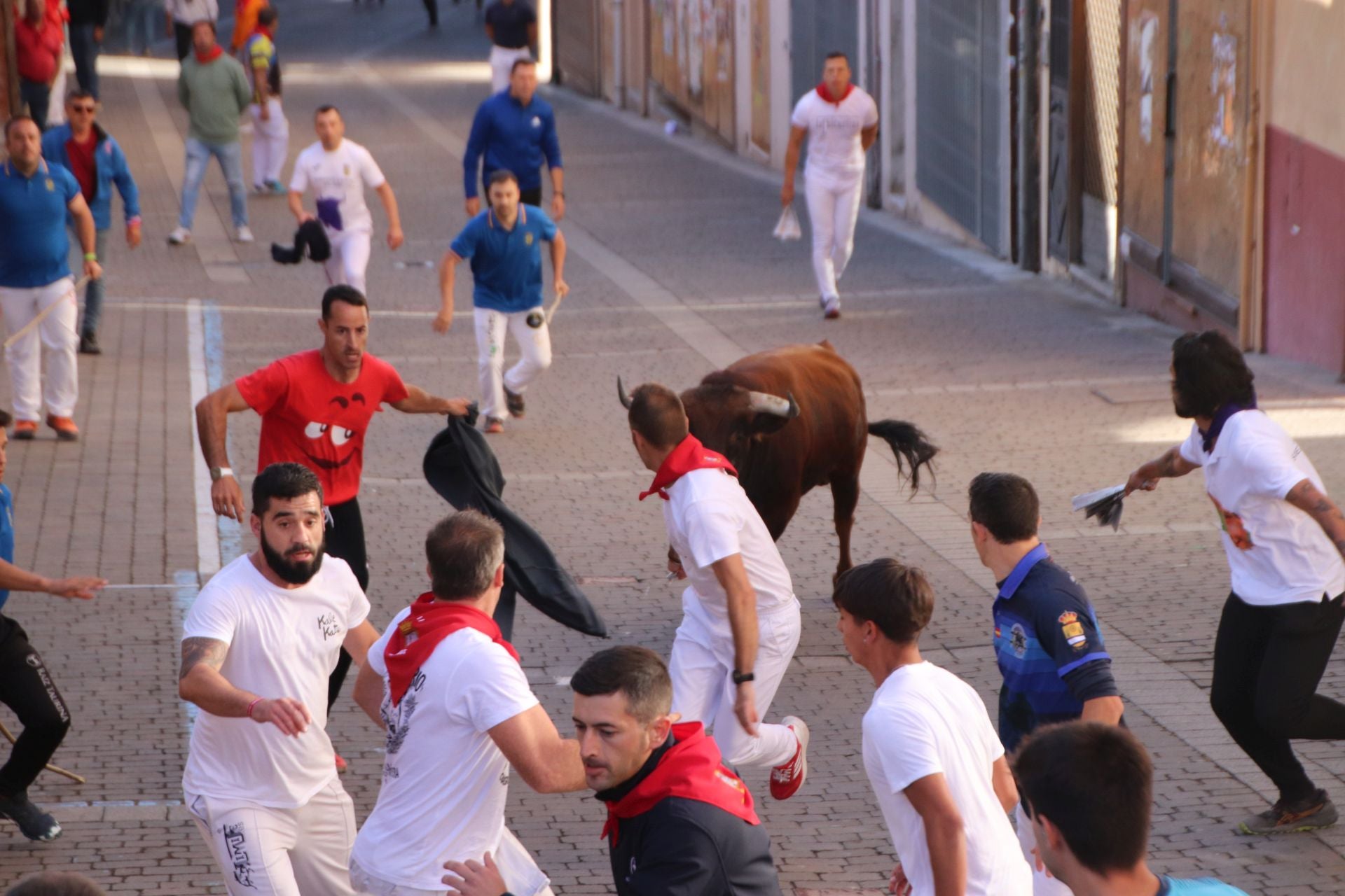 Fotos del cuarto encierro por las calles de Cuéllar