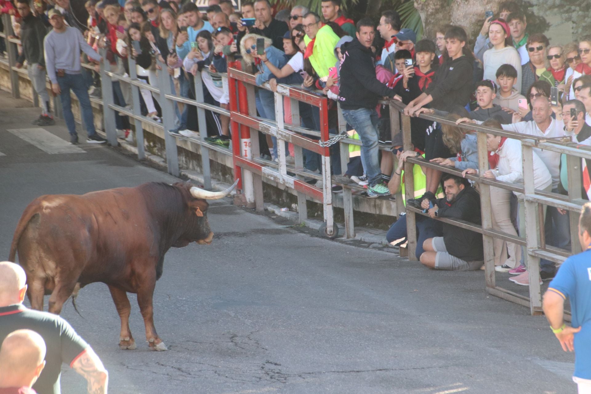 Fotos del cuarto encierro por las calles de Cuéllar