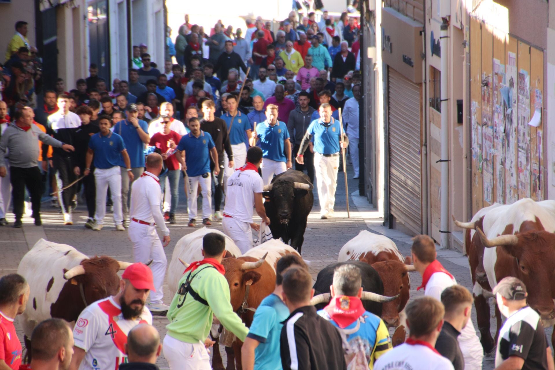 Fotos del cuarto encierro por las calles de Cuéllar