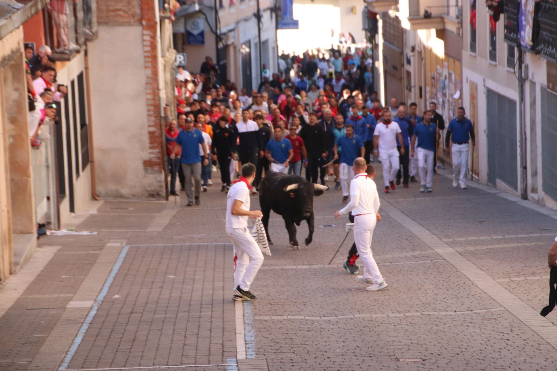 Fotos del cuarto encierro por las calles de Cuéllar