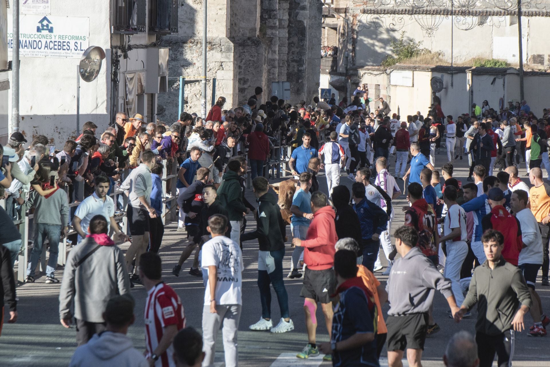 Fotos del cuarto encierro por las calles de Cuéllar