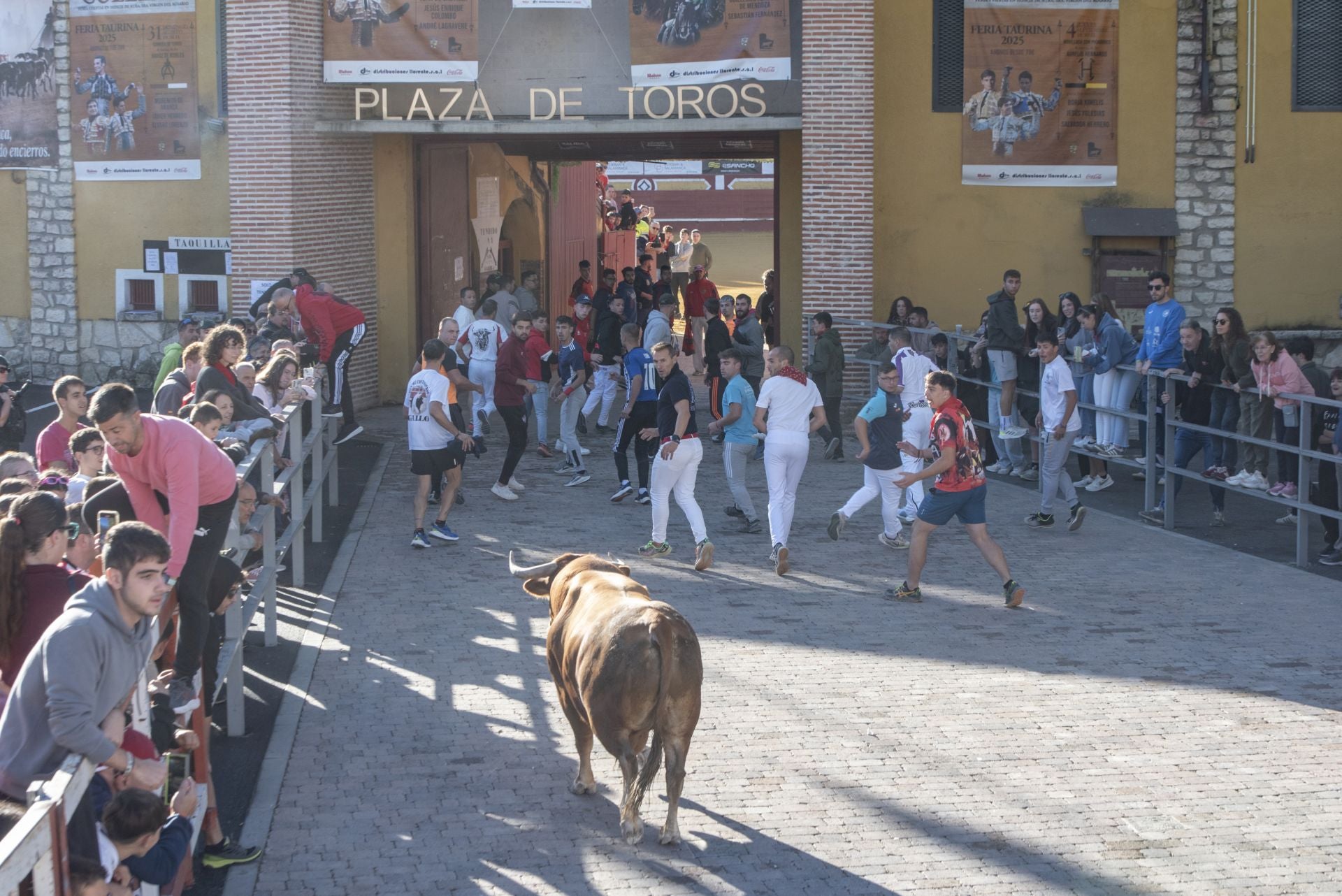 Fotos del cuarto encierro por las calles de Cuéllar