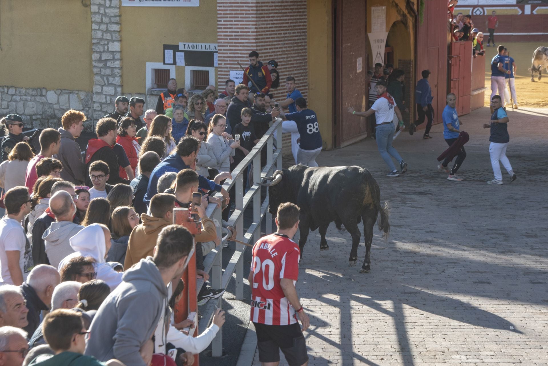 Fotos del cuarto encierro por las calles de Cuéllar