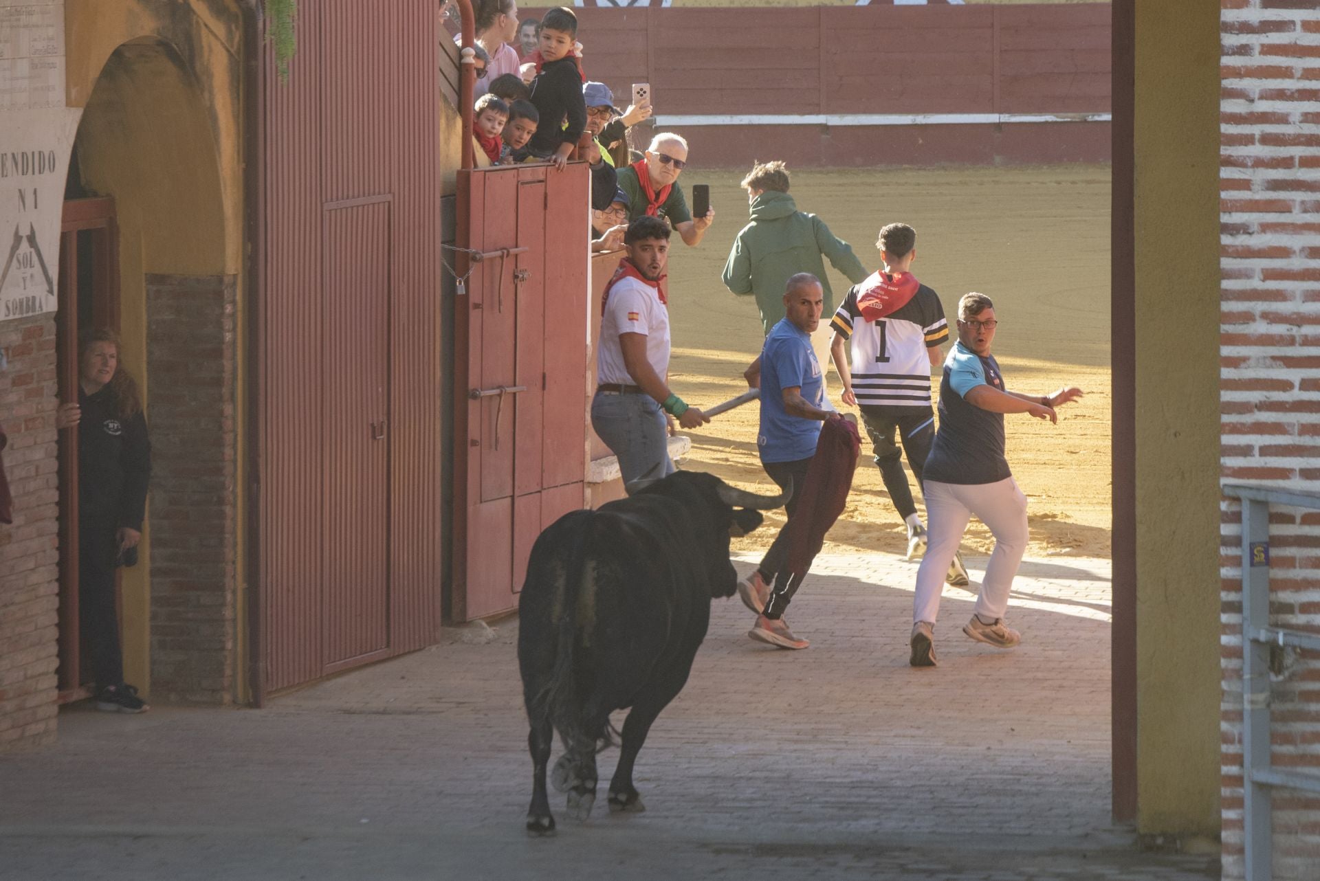 Fotos del cuarto encierro por las calles de Cuéllar