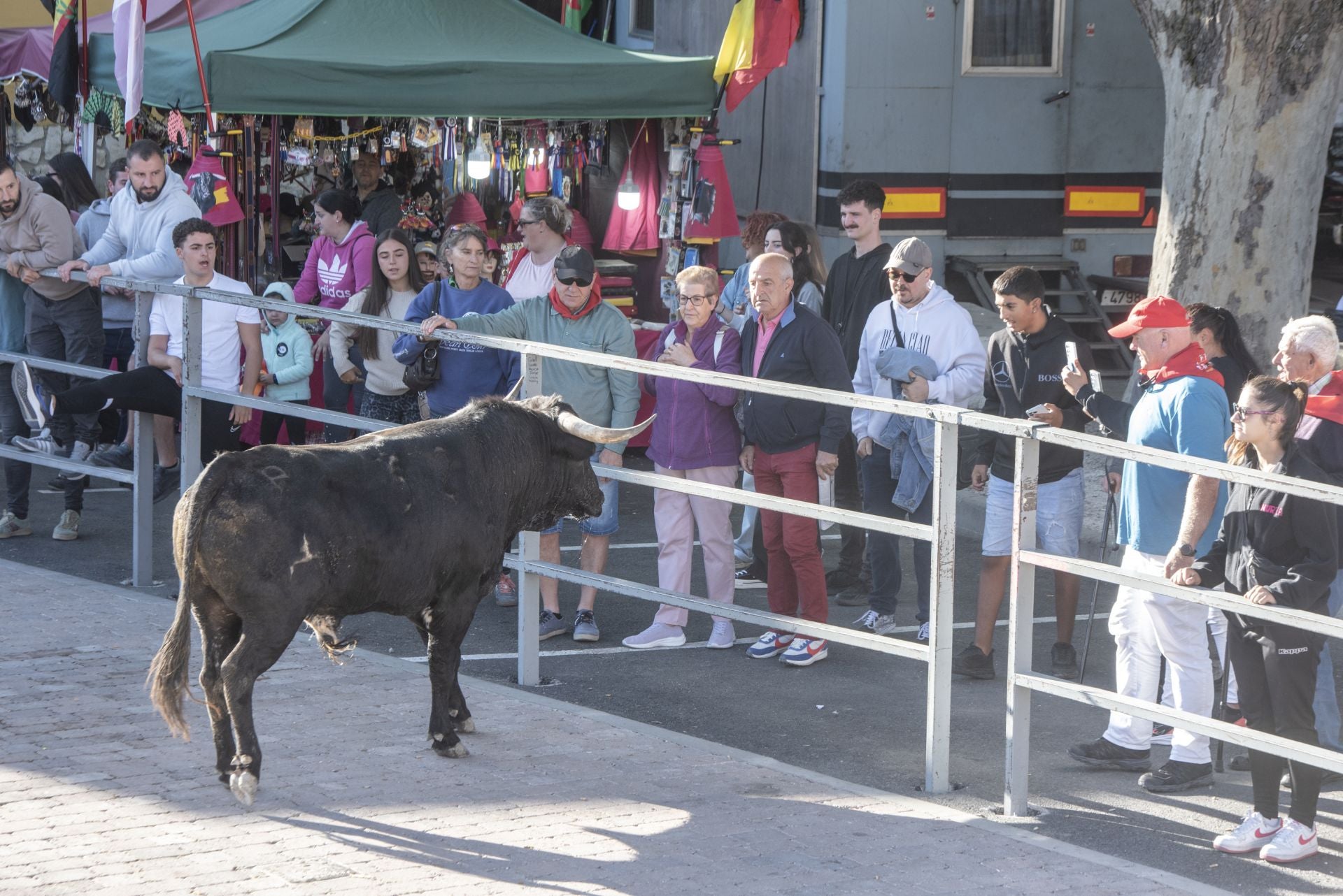 Fotos del cuarto encierro por las calles de Cuéllar