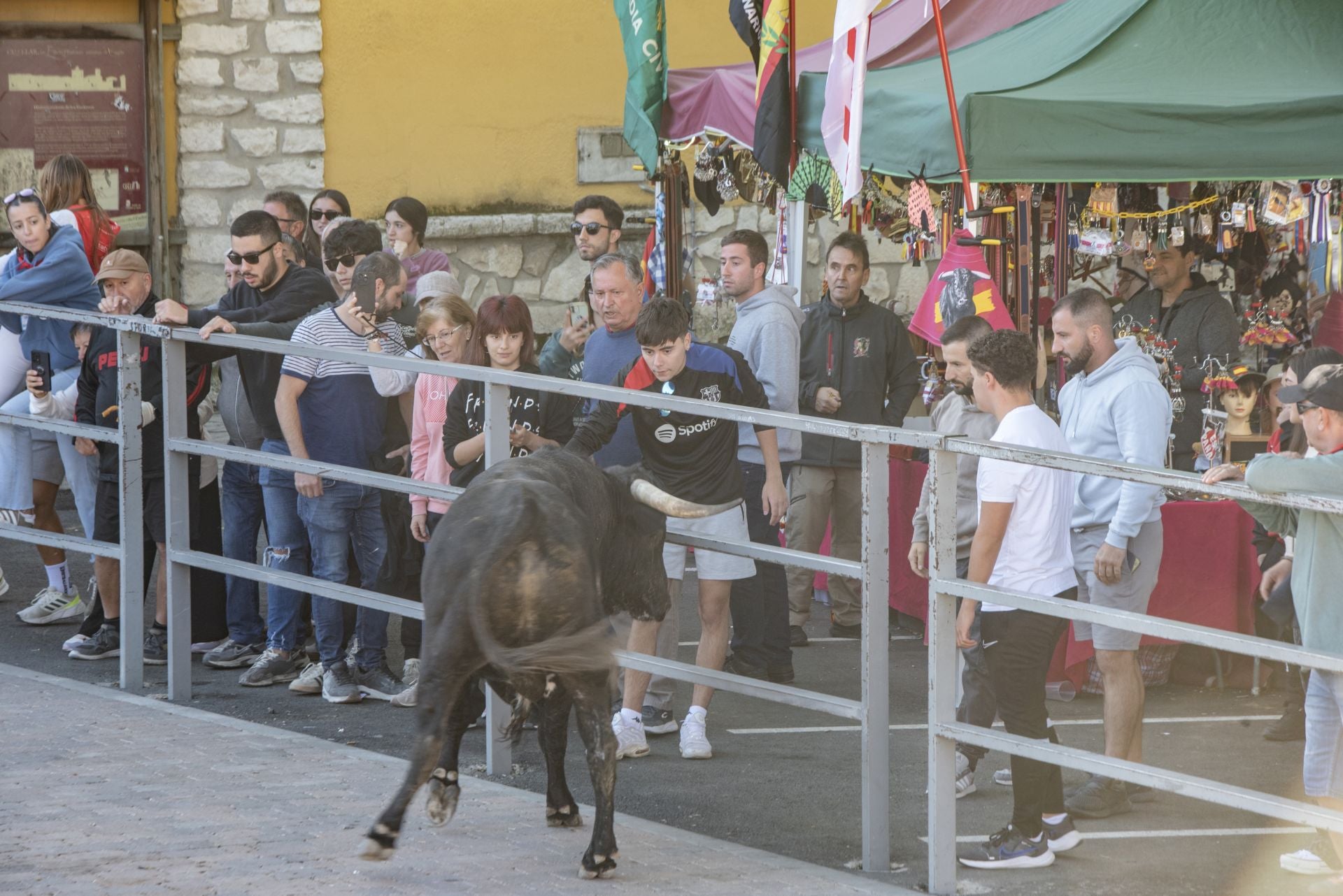 Fotos del cuarto encierro por las calles de Cuéllar