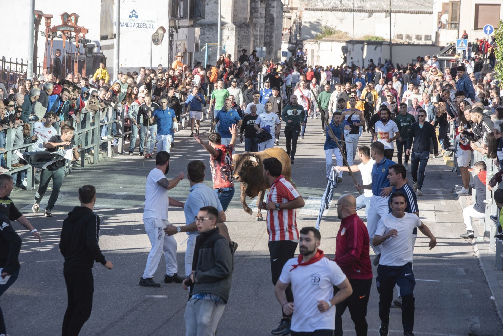 Fotos del cuarto encierro por las calles de Cuéllar
