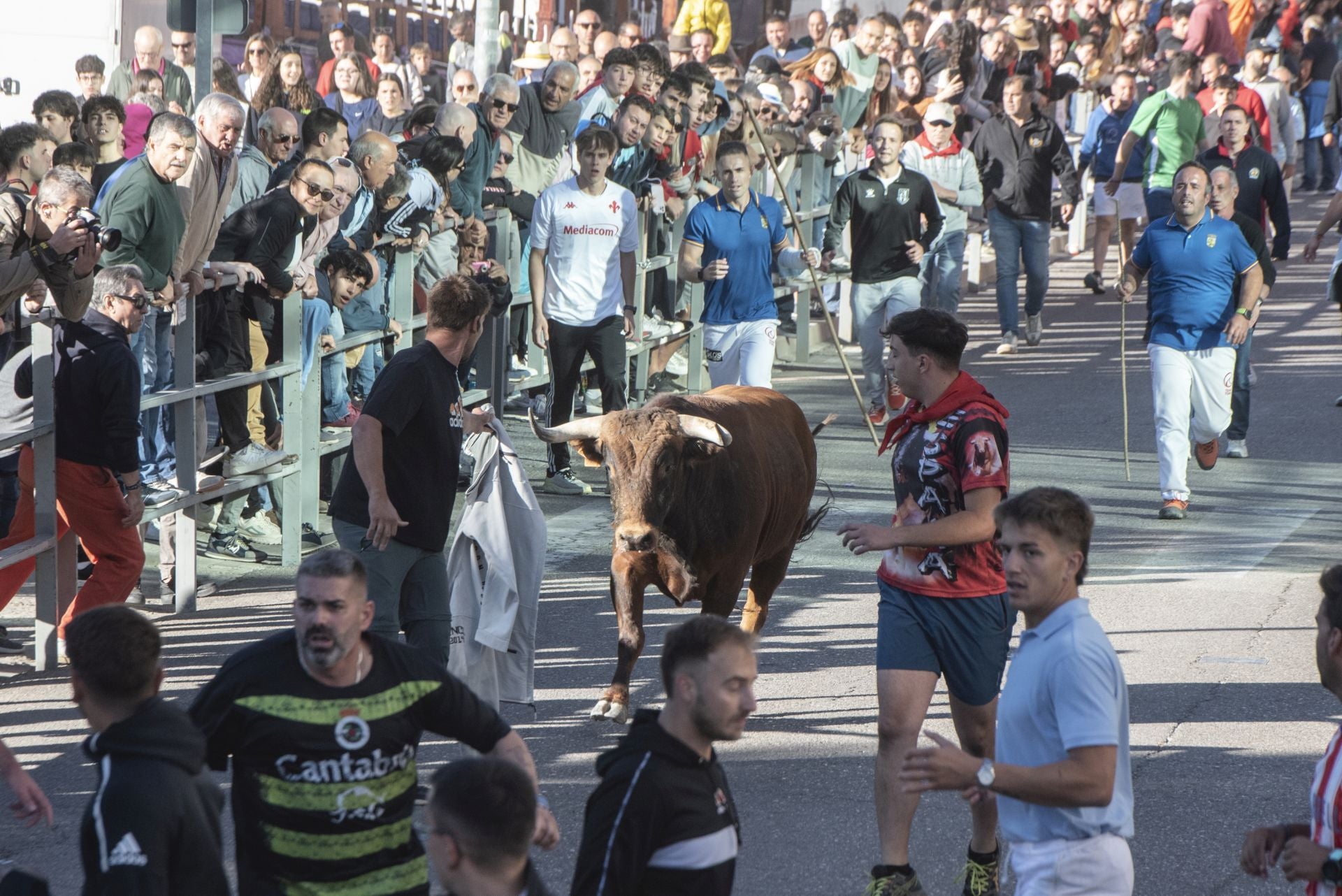 Fotos del cuarto encierro por las calles de Cuéllar