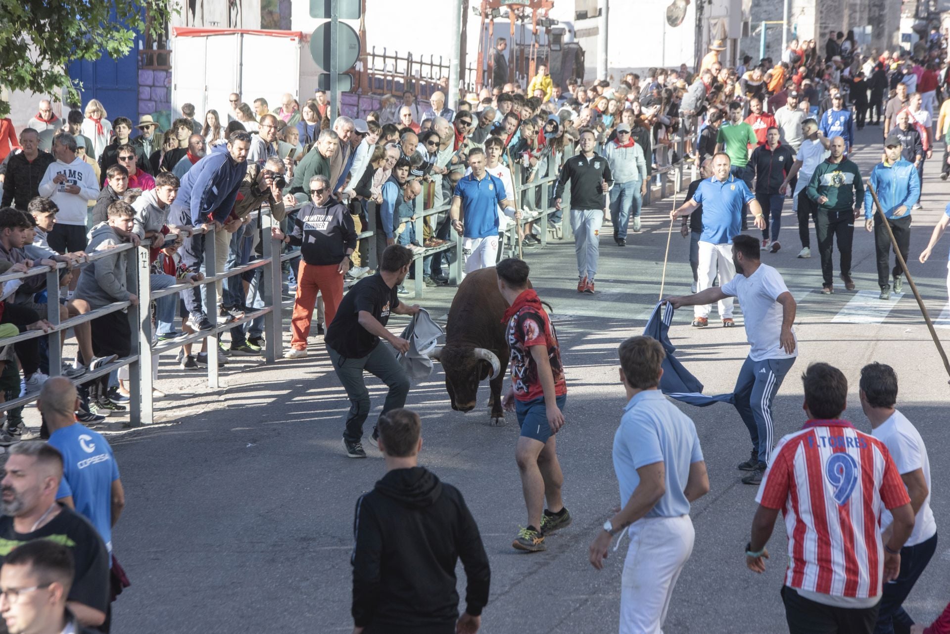 Fotos del cuarto encierro por las calles de Cuéllar