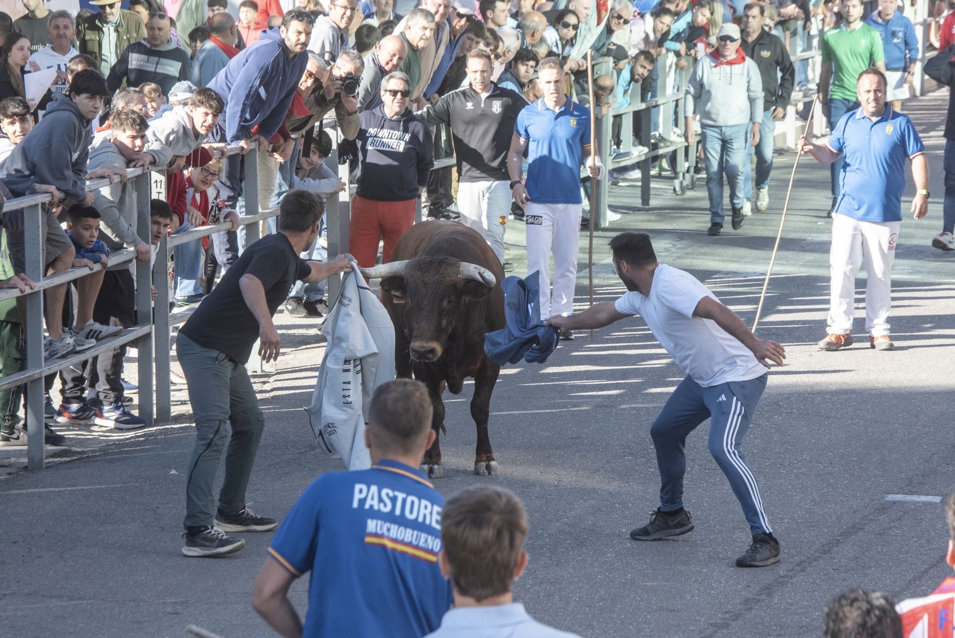 Fotos del cuarto encierro por las calles de Cuéllar