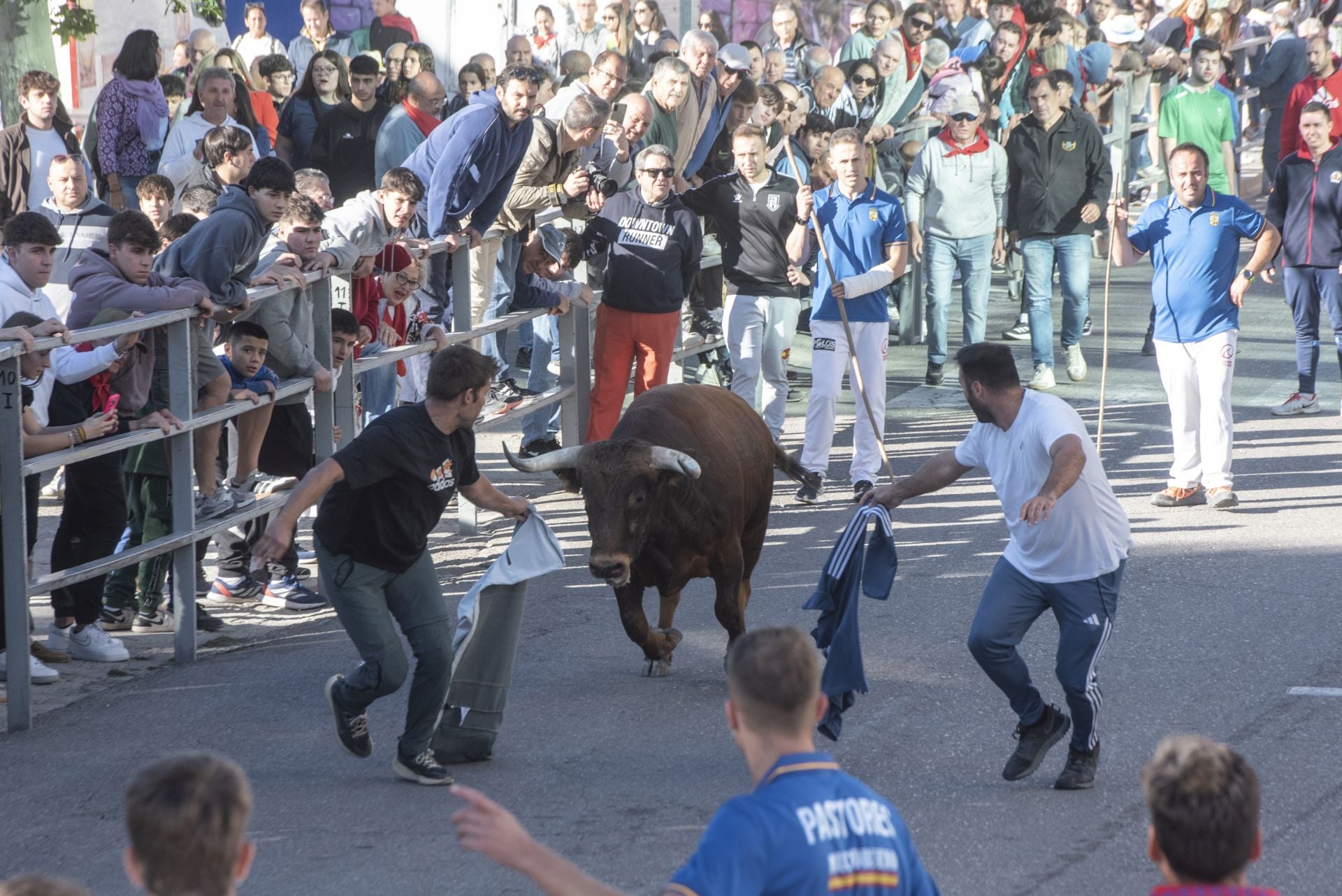 Fotos del cuarto encierro por las calles de Cuéllar