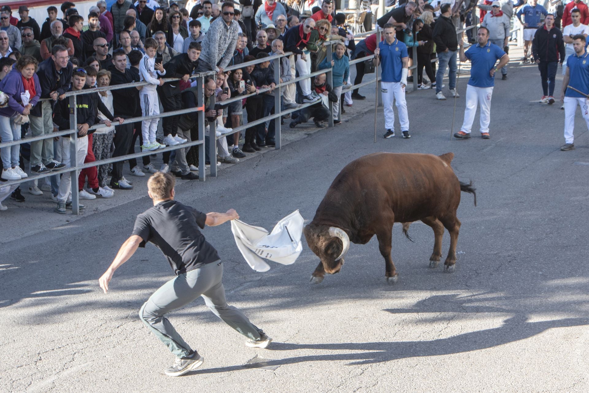 Fotos del cuarto encierro por las calles de Cuéllar