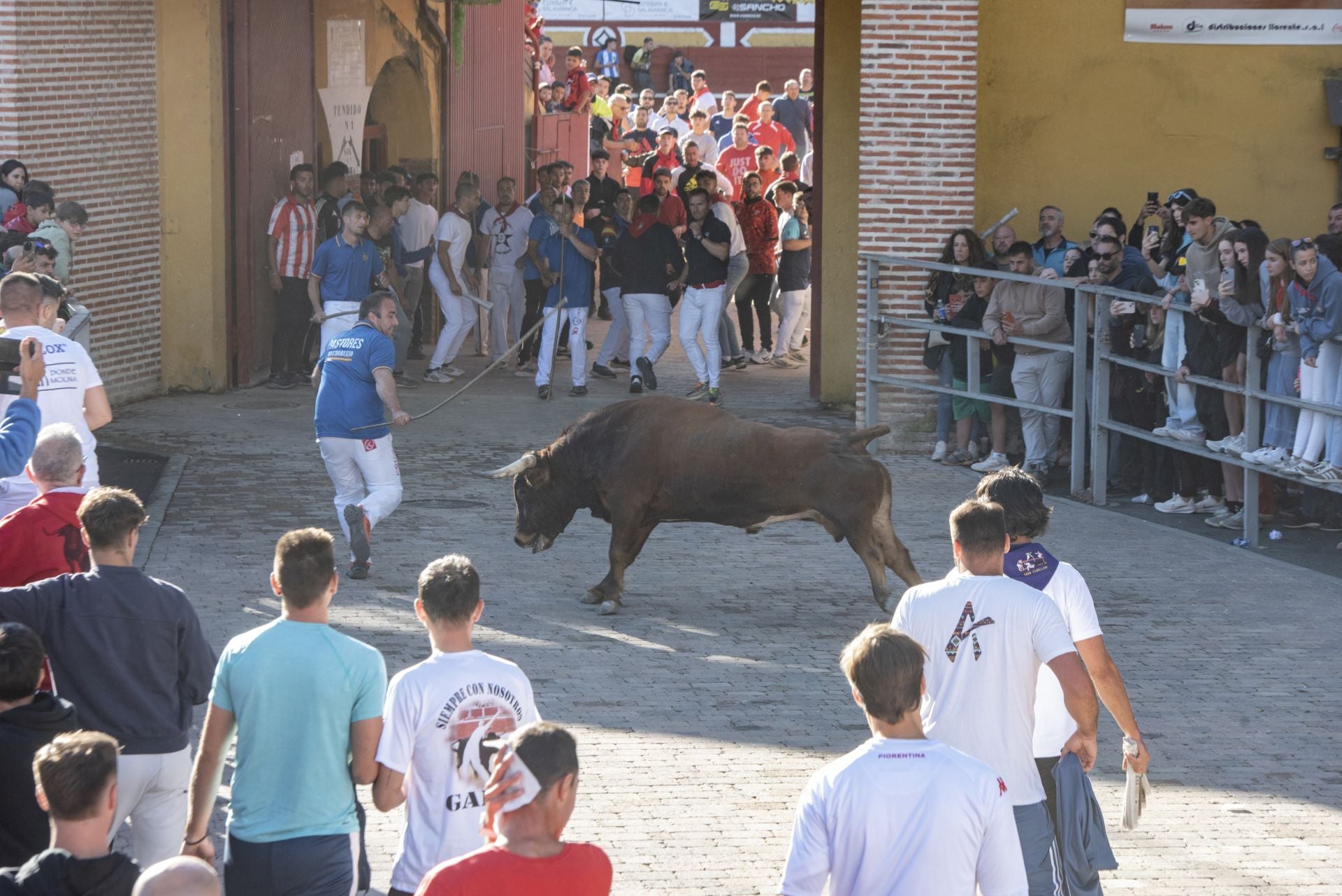 Fotos del cuarto encierro por las calles de Cuéllar