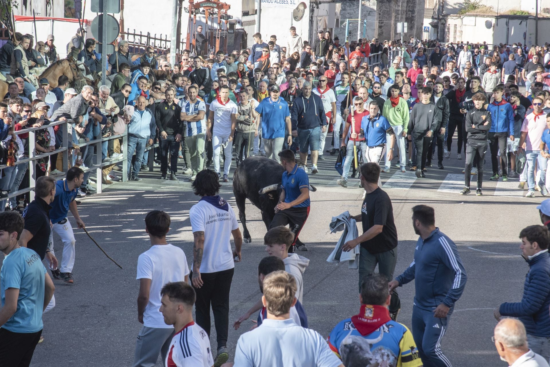Fotos del cuarto encierro por las calles de Cuéllar
