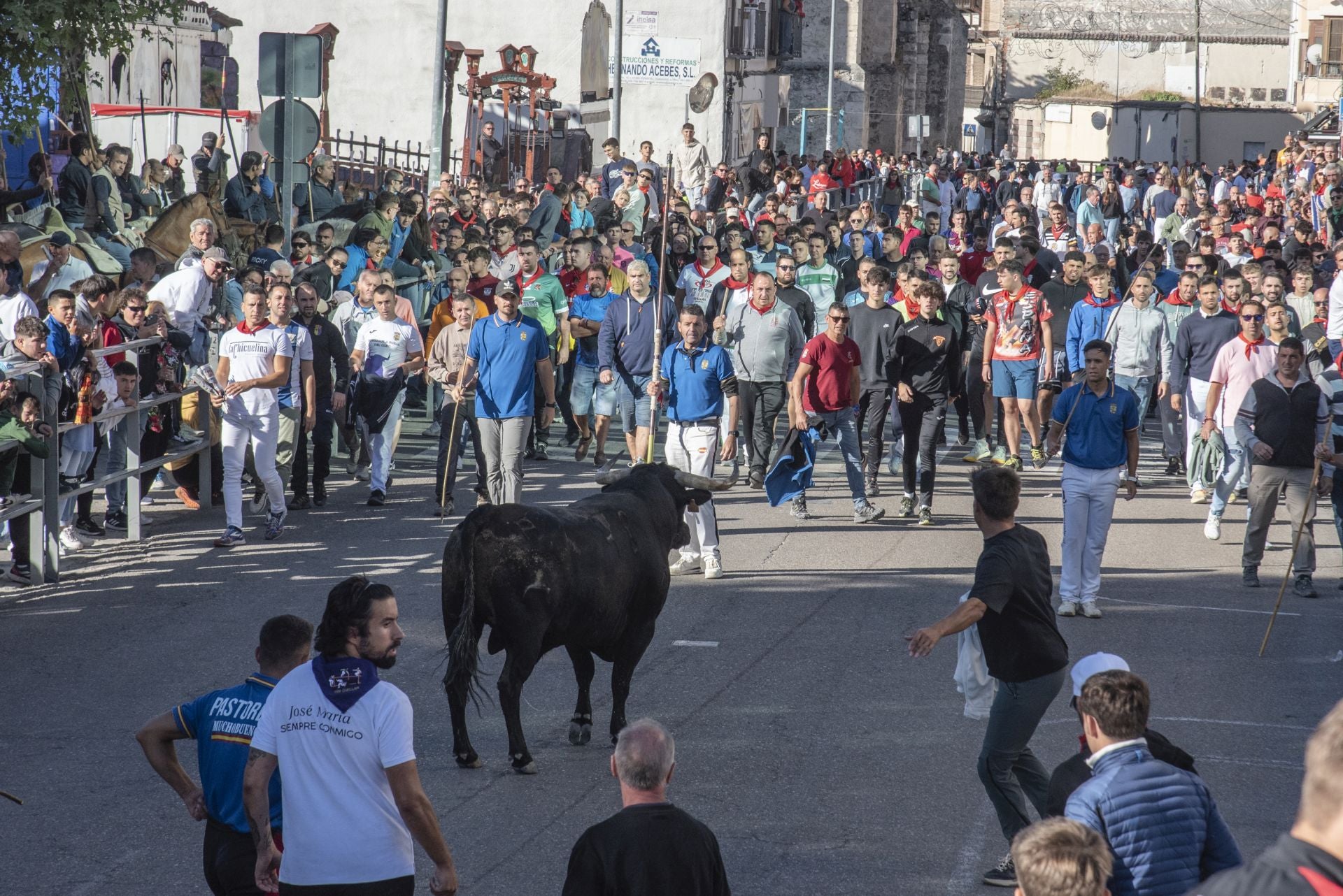Fotos del cuarto encierro por las calles de Cuéllar