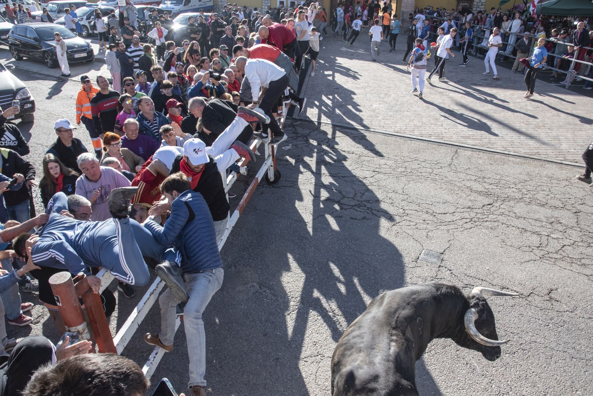 Fotos del cuarto encierro por las calles de Cuéllar