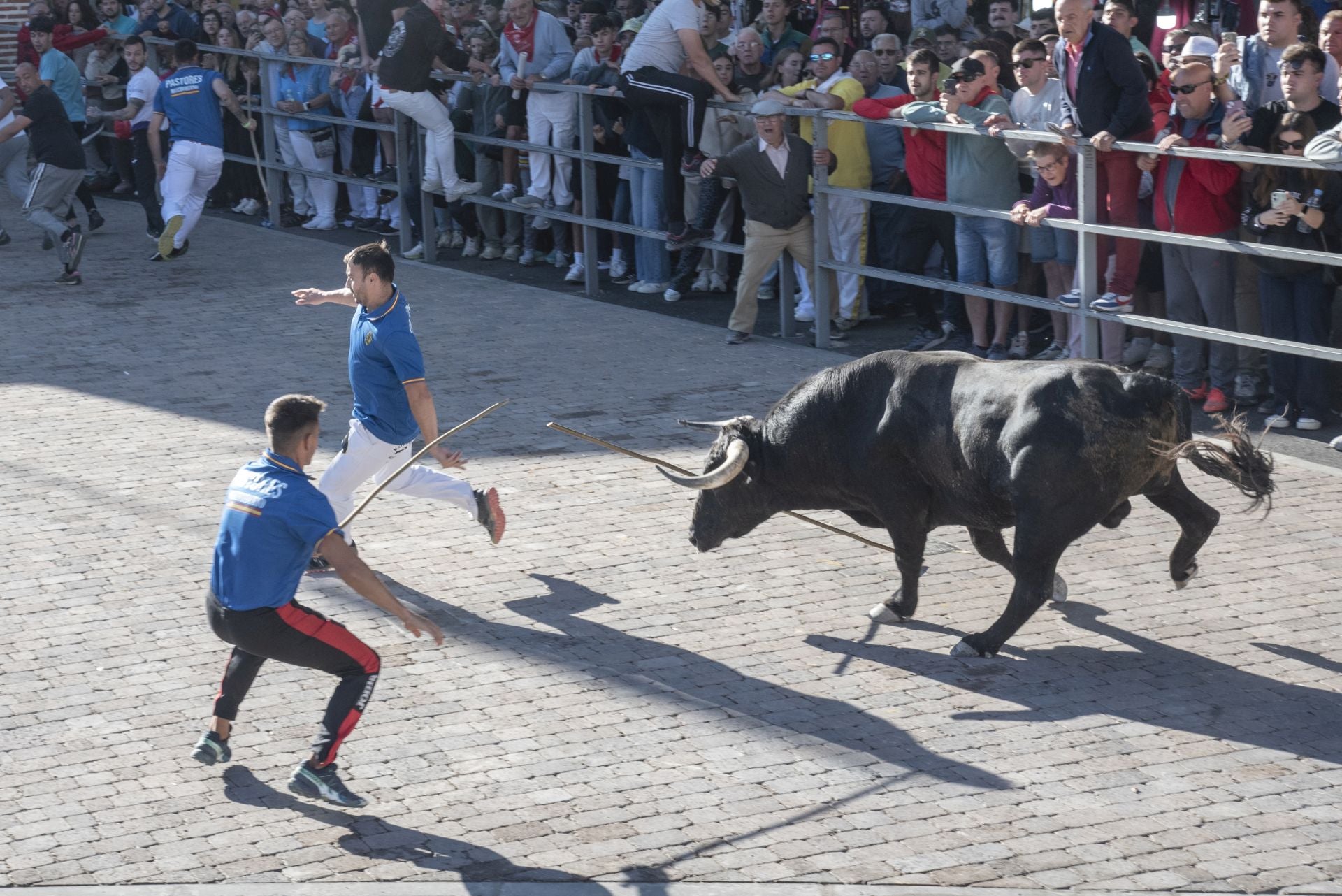 Fotos del cuarto encierro por las calles de Cuéllar