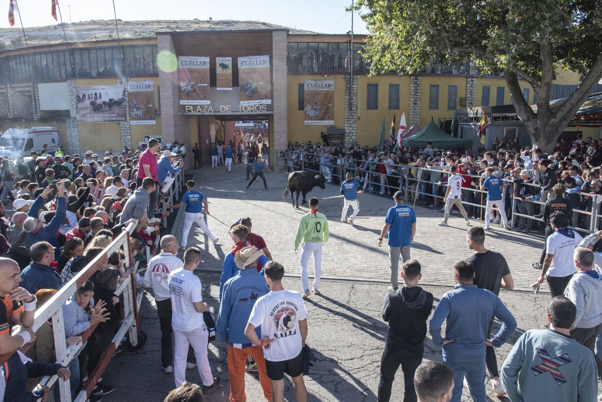 Fotos del cuarto encierro por las calles de Cuéllar