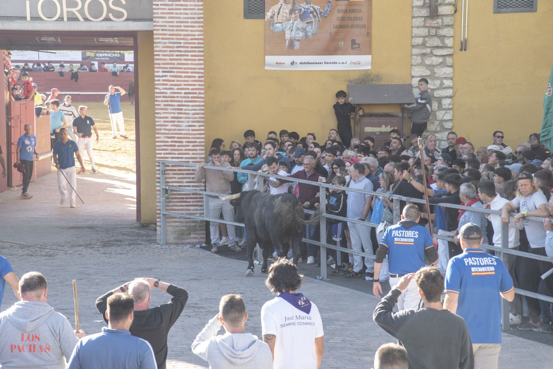 Fotos del cuarto encierro por las calles de Cuéllar