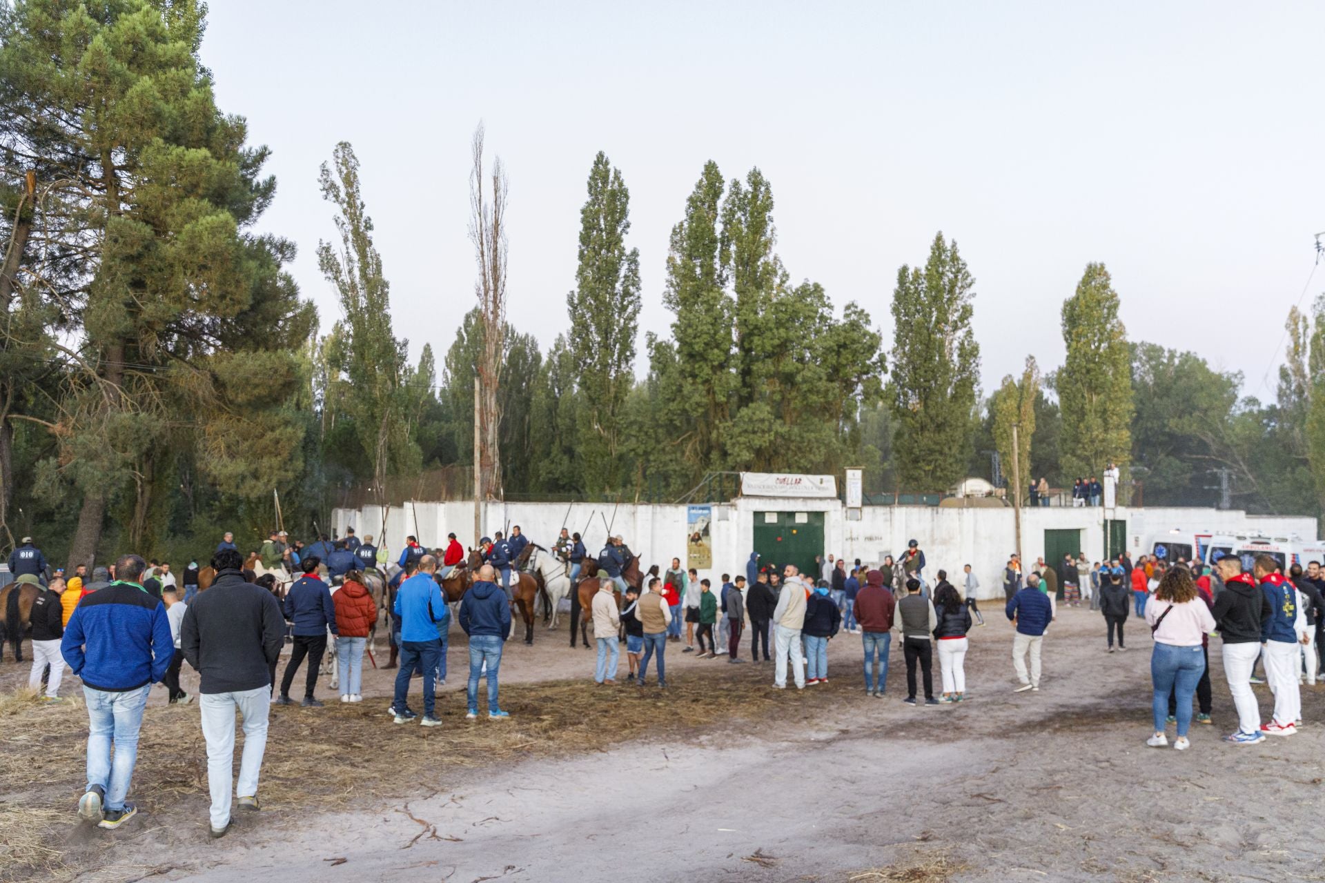 Fotos del cuarto encierro de Cuéllar por el campo