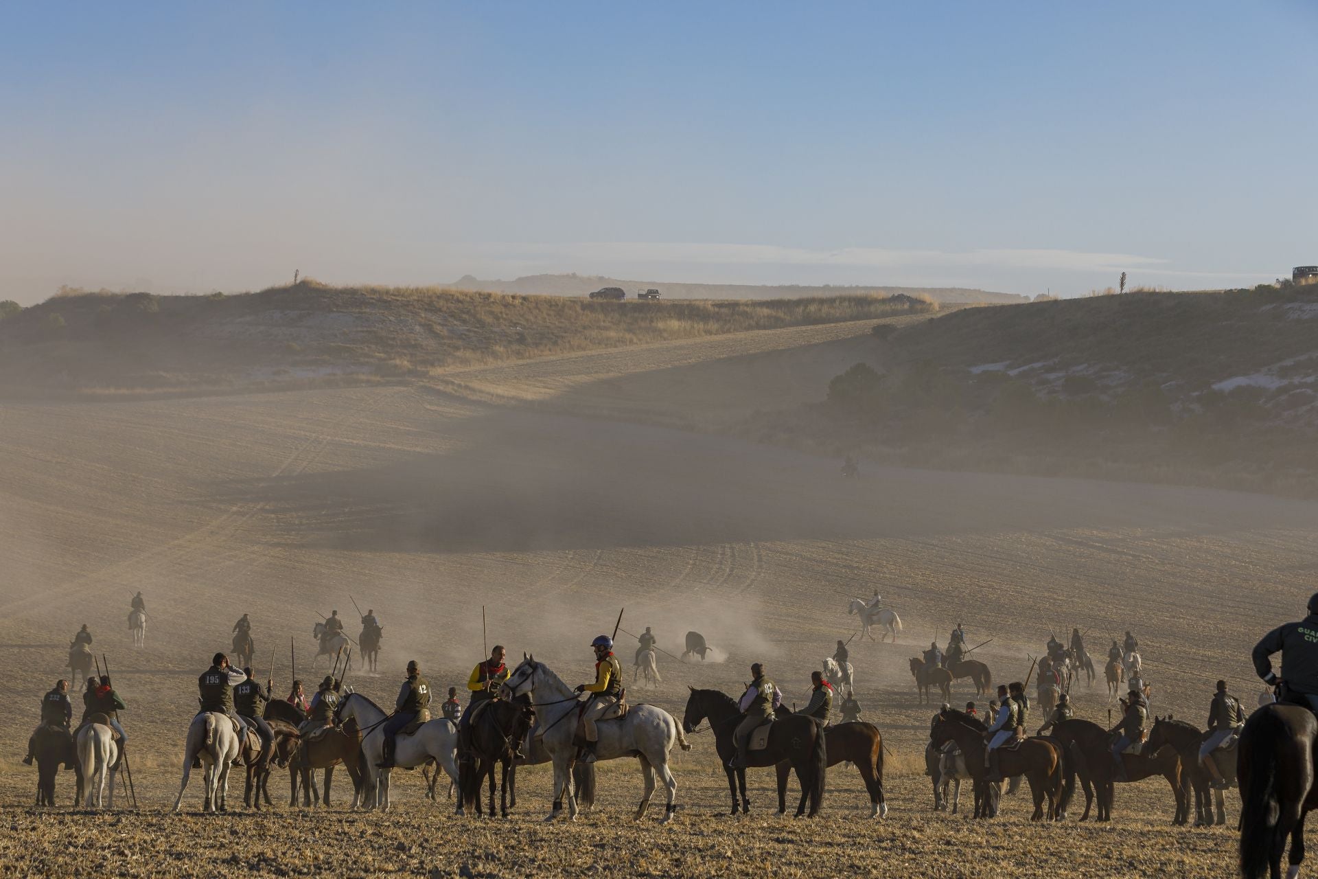 Fotos del cuarto encierro de Cuéllar por el campo