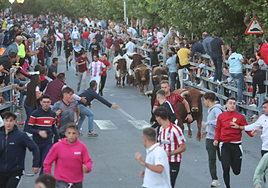 Encierro celebrado a última hora de la tarde en Medina del Campo.