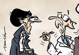 La viñeta de Sansón: 'Sánchez demacrado'