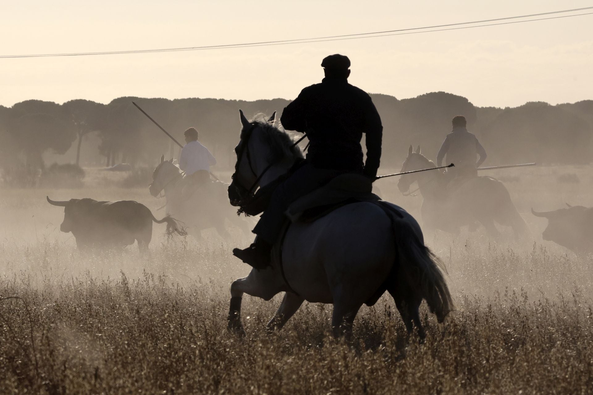 El encierro de Medina del Campo, en imágenes