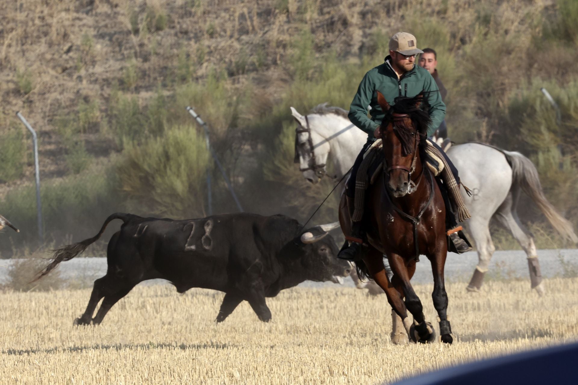 El encierro de Medina del Campo, en imágenes