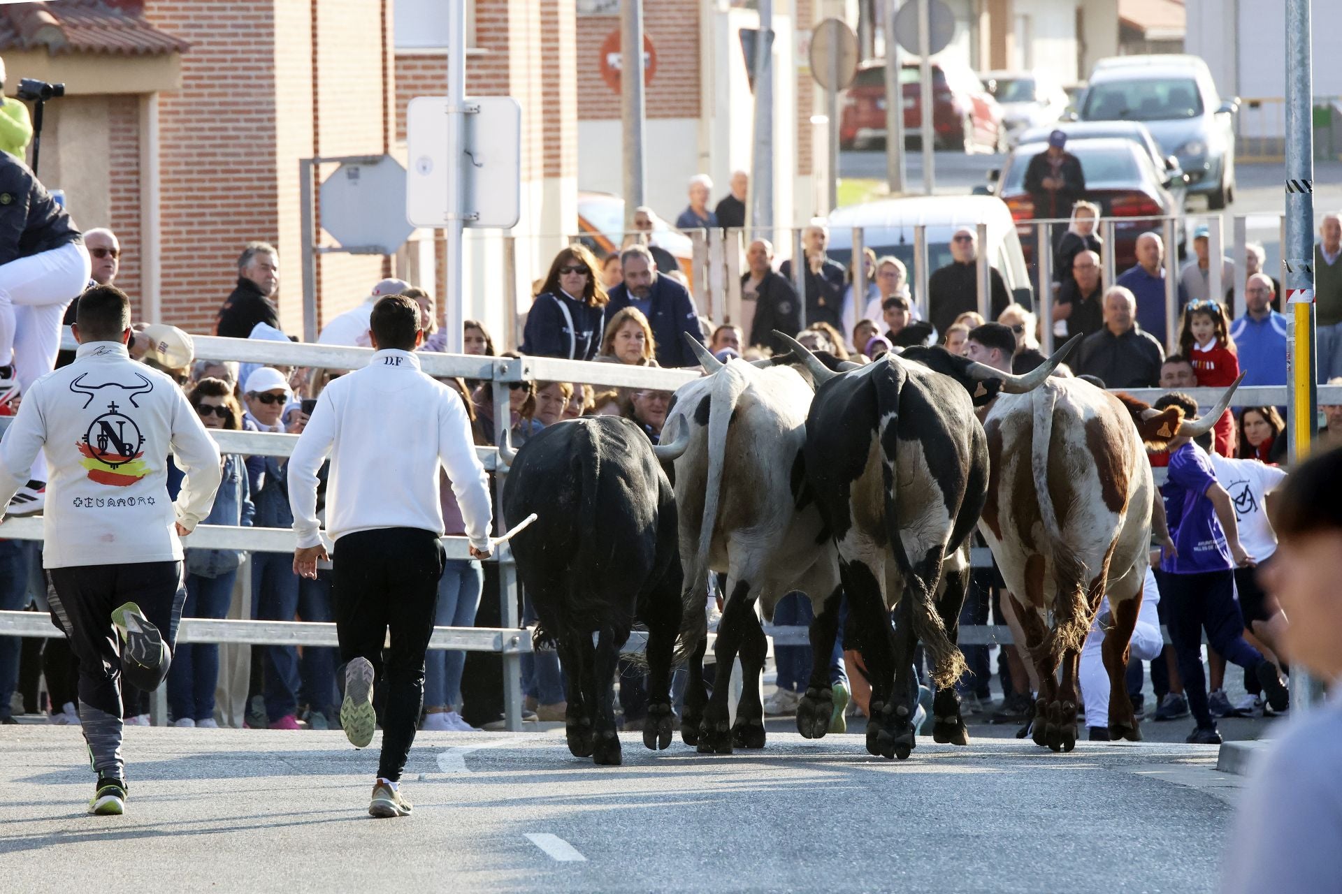 El encierro de Medina del Campo, en imágenes