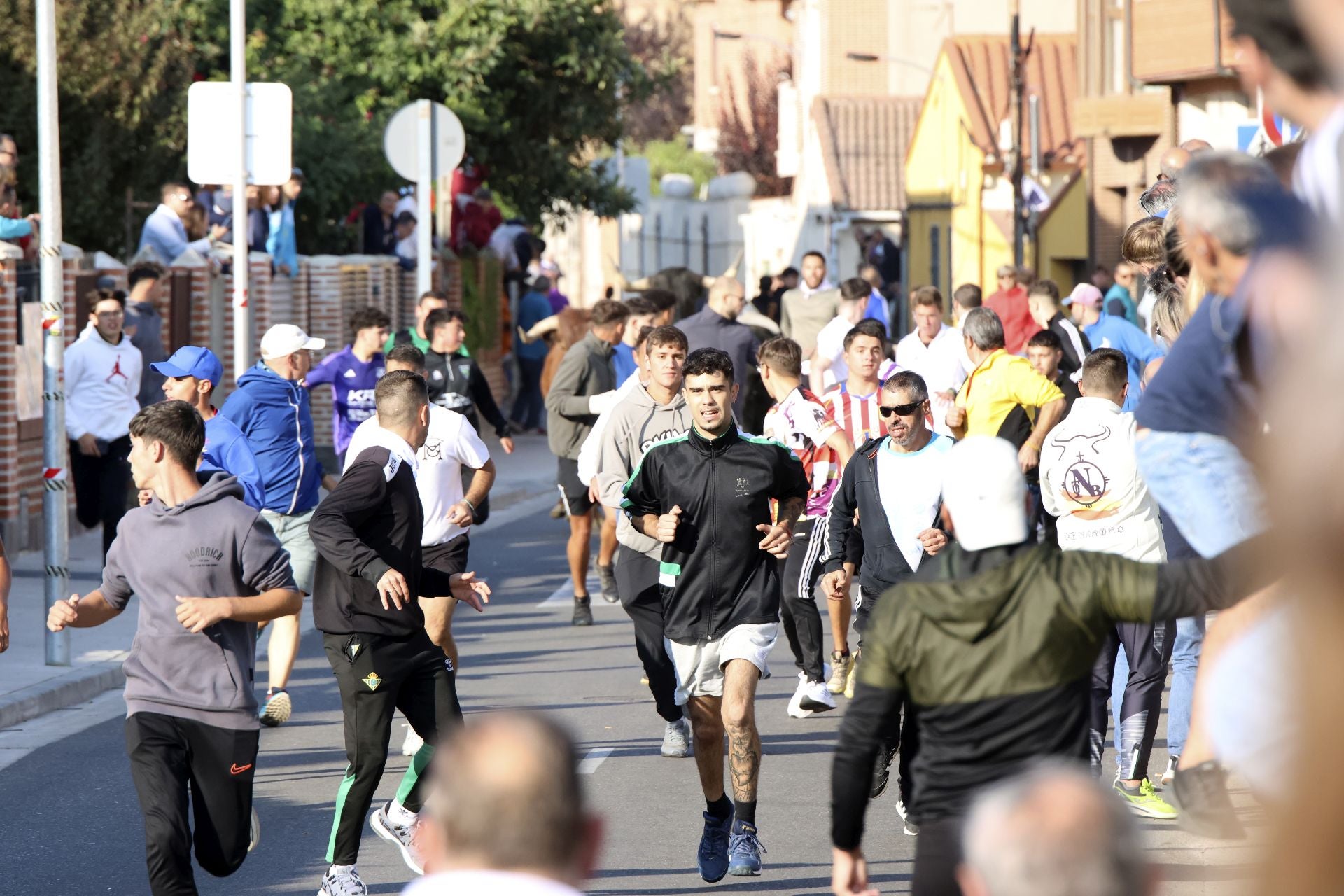 El encierro de Medina del Campo, en imágenes