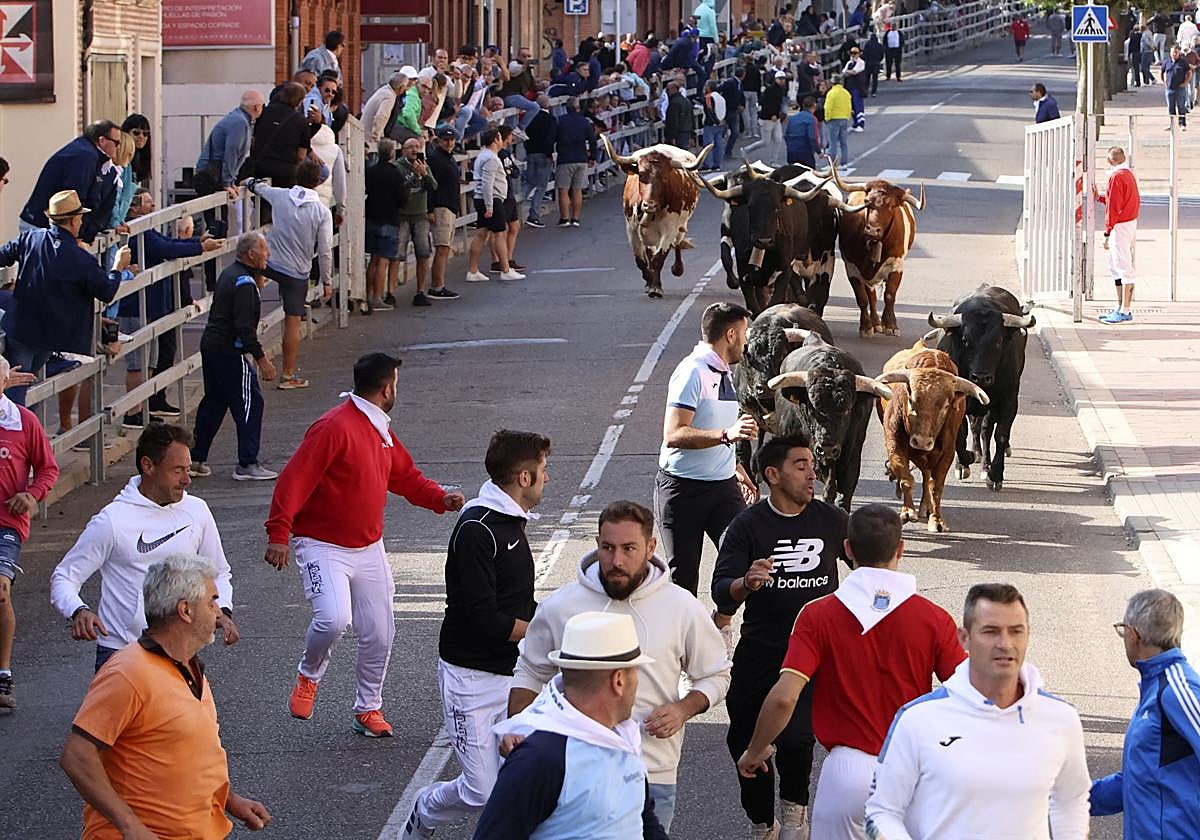 El encierro de Medina del Campo, en imágenes