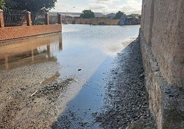 Un nuevo reventón en el canal del Riaza ha anegado este jueves Valbuena de Duero.