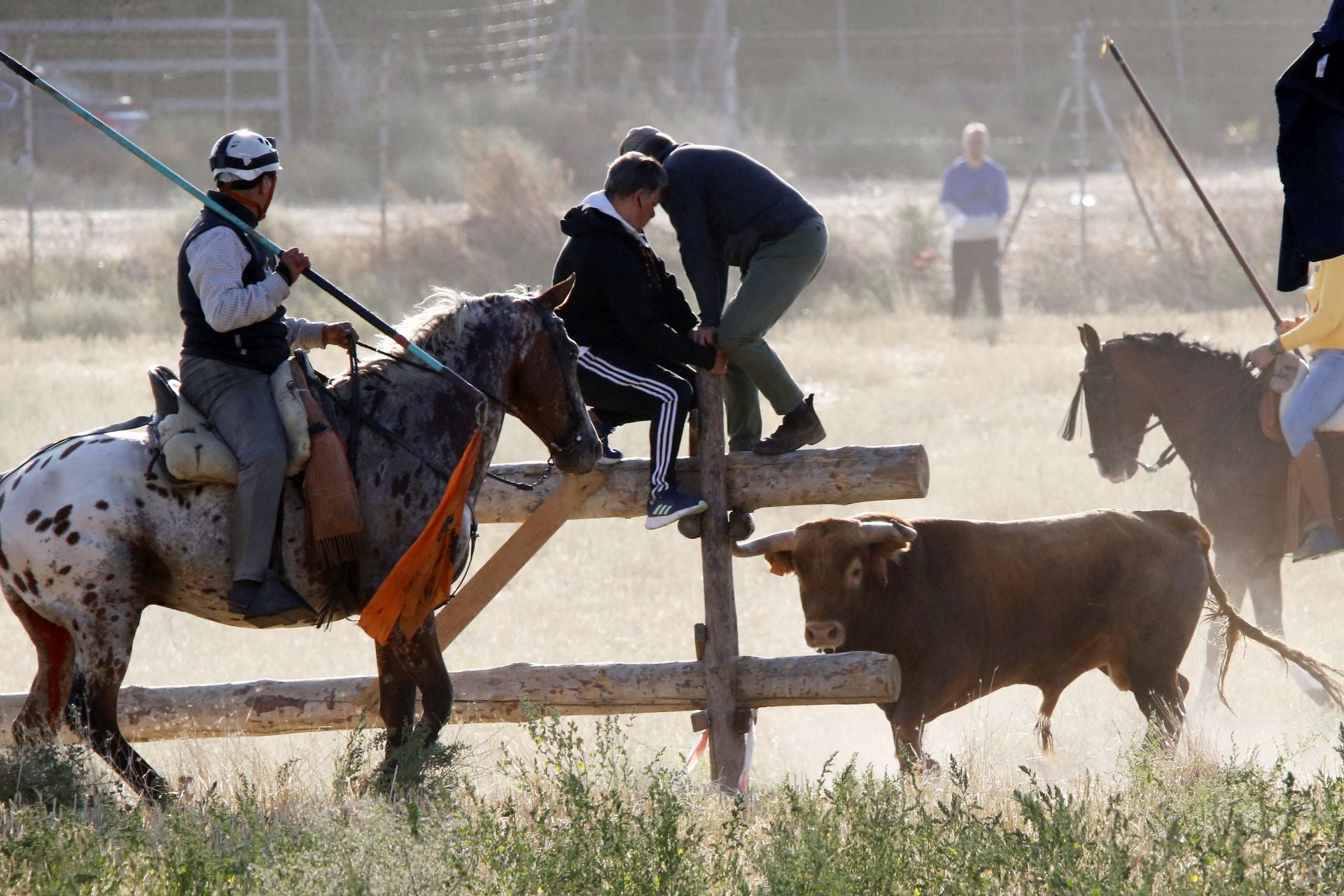 Dos espectadores se resguardan en la empalizada ante la presencia del astado.
